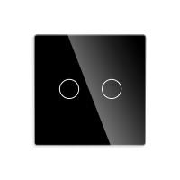 ELEMENT SMALL GLASS PANEL 2 GANG, BLACK                                                                                                                                                                                                                        