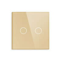 ELEMENT SMALL GLASS PANEL 2 GANG, GOLD                                                                                                                                                                                                                         